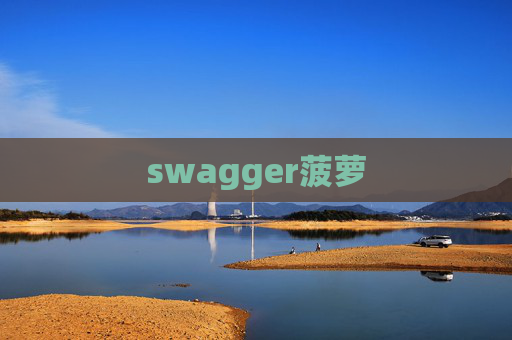 swagger菠萝 swagger菠萝
